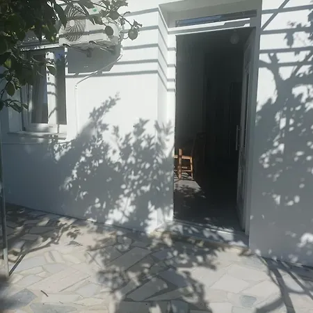 Lemon Tree 2 *